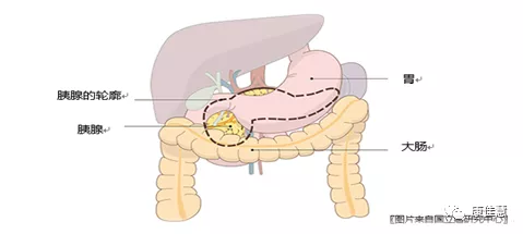 胰腺癌治疗新希望~解读质子治疗先锋：日本筑波大学附属医院质子治疗中心~