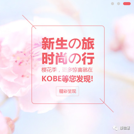日本体检中介