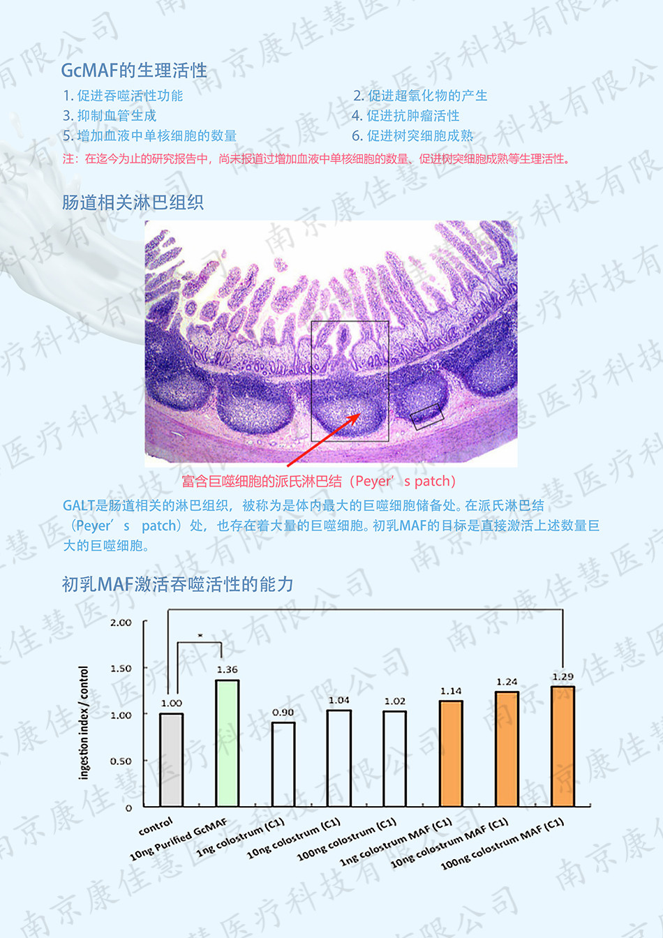 初乳maf5.jpg